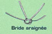 BRIDE ARAIGNEE D.80 716083