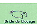BRIDE DE BLOCAGE D 80 716083