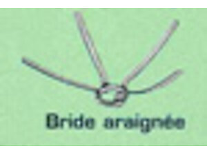 BRIDE ARAIGNEE D.80 716083
